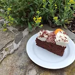 H@m Žlutice